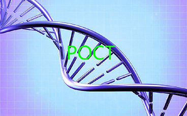 成品人片a91入口短视频